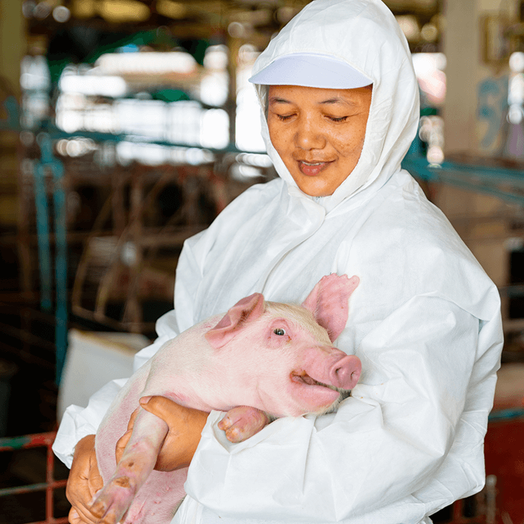 Rubamin Zynkfeed® Zinc Oxide: A promise of safety in animal feed