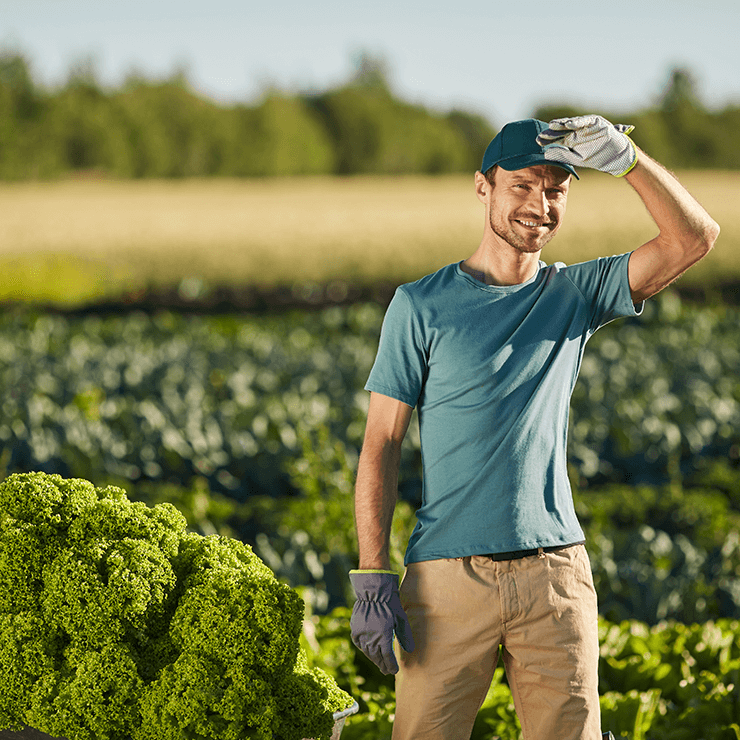 Rubamin Molybdenum Enabling better agriculture & healthier crops