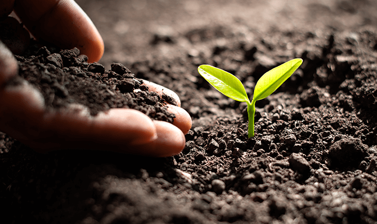 Environmental Sustainability Initiatives